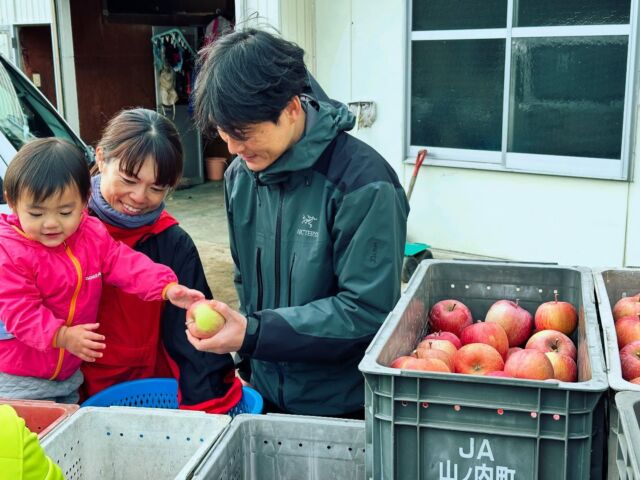 🗻
移住希望者から好評の
オーダーメイドツアー

山ノ内町への移住を
検討されている方の
移住後にやりたいことや
ライフスタイルに合わせて
内容をカスタマイズする
ツアーです

特長としては
観光ではリーチできない
住んでみて初めてわかる
地域のディープな情報に
触れてみたり
地域のキーパーソン
根ざして活躍する移住者
やりたいことの先輩など
希望に合わせて人と
引き合わせたりもします

今回は移住してりんごで
就農したいと検討している
ご家族でしたので
実際に移住して就農した
2組の方を紹介し
実際に収穫や選果の作業を
体験させてもらったり
苦労話や農業で生業づくりの
リアルな話を聞きました

とても素敵なご家族で
楽しそうに選果している
姿が印象的でした

明日は町の就農サポートの
担当者と話をしてみたり
娘さんの保育園や子育て
環境を見学してみたり
暮らしていくうえで気になる
買い物や医療環境などの
生活インフラを確認して
移住者目線で町を案内して
知っていただくプランです

オーダーメイドツアーは
希望者の知りたいことや
都合に合わせて数時間から
１日あるいは2日にわたって
どっぷり地域を知ることが
できる内容で作り込みます

結構楽しいと思いますよ
お気軽にご相談ください

#移住計画 
#長野移住 
#信州移住
#就農 #農業 
#温泉のある暮らし
#地域おこし協力隊